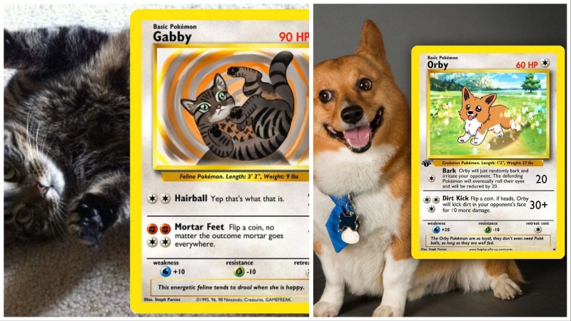 pet pokemon cards