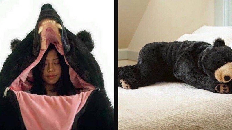 bear sleeping bag