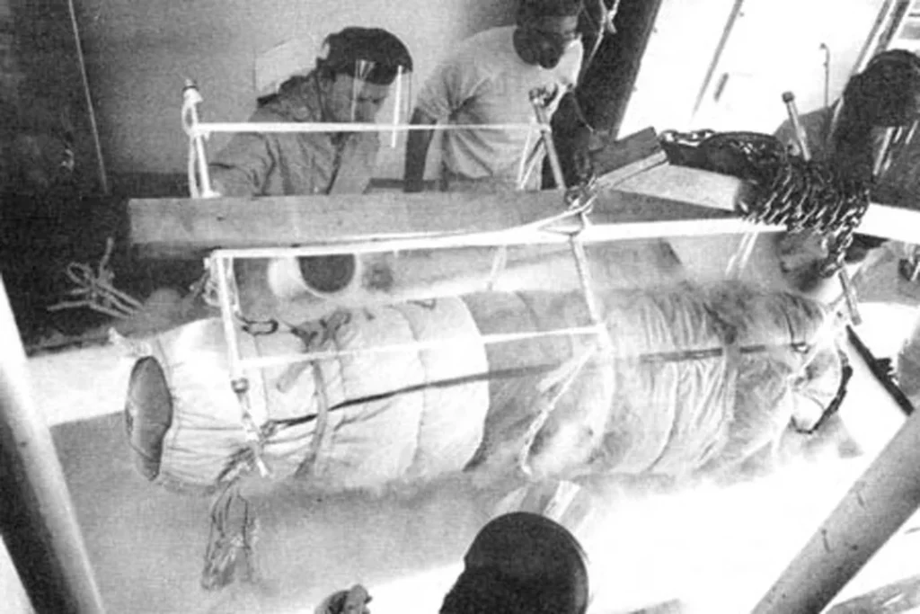 Cryonics